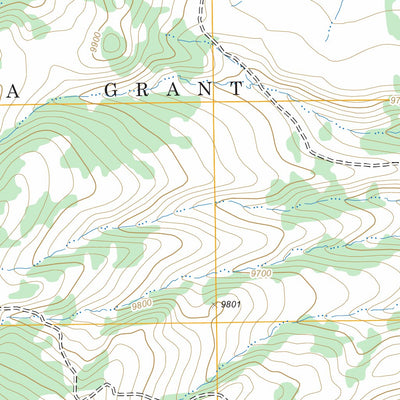 US Forest Service - Topo East Gavilan Canyon, NM FSTopo Legacy digital map