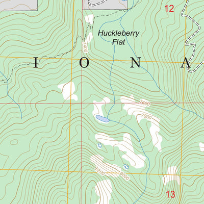 US Forest Service - Topo Echo Lake, CA FSTopo Legacy digital map