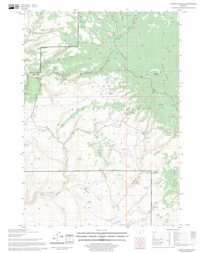 US Forest Service - Topo Egypt Canyon, OR FSTopo Legacy digital map