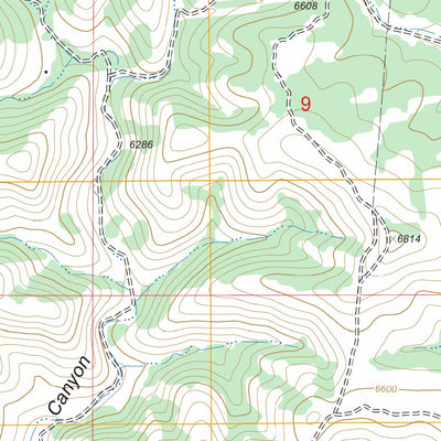 US Forest Service - Topo El Paso Canyon, NM FSTopo Legacy digital map