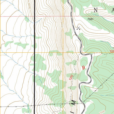 US Forest Service - Topo El Paso Gap, NM - TX FSTopo Legacy digital map