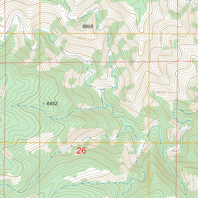 US Forest Service - Topo El Paso Gap, NM - TX FSTopo Legacy digital map
