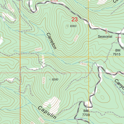 US Forest Service - Topo El Porvenir, NM FSTopo Legacy digital map