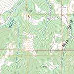 US Forest Service - Topo Eldorado Pass, OR FSTopo Legacy digital map