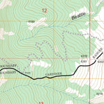 US Forest Service - Topo Electric Peak, MT - WY FSTopo Legacy digital map