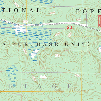 US Forest Service - Topo Elephant Lake, MN FSTopo Legacy digital map