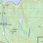 US Forest Service - Topo Elephant Lake, MN FSTopo Legacy digital map