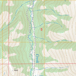 US Forest Service - Topo Elk Mountain, OR FSTopo Legacy digital map