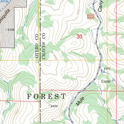 US Forest Service - Topo Elk, NM FSTopo Legacy digital map