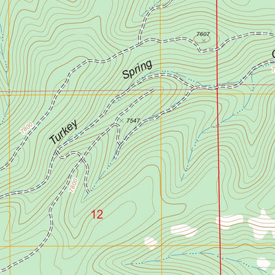 US Forest Service - Topo Elk-Silver, NM FSTopo Legacy digital map