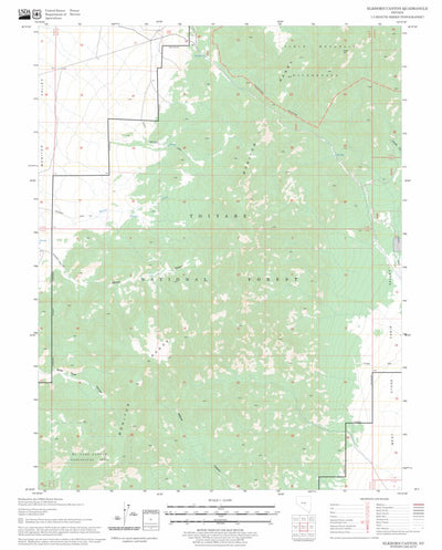 US Forest Service - Topo Elkhorn Canyon, NV FSTopo Legacy digital map