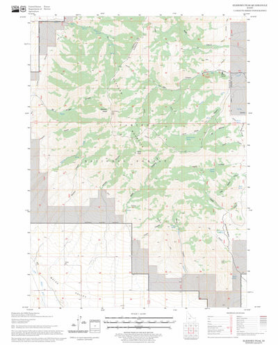 US Forest Service - Topo Elkhorn Peak, ID FSTopo Legacy digital map