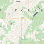 US Forest Service - Topo Elkhorn Peak, ID FSTopo Legacy digital map