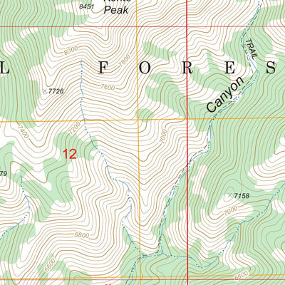 US Forest Service - Topo Elkhorn Peak, ID FSTopo Legacy digital map