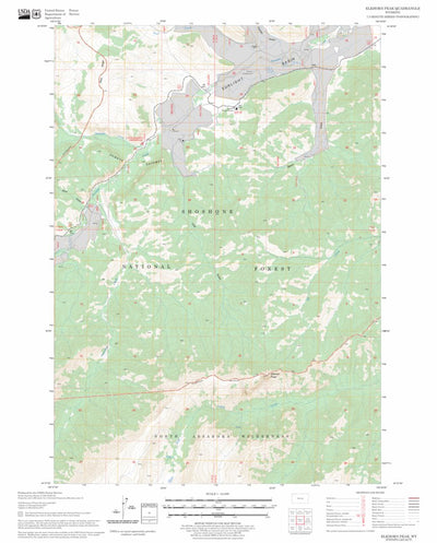 US Forest Service - Topo Elkhorn Peak, WY FSTopo Legacy digital map