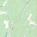 US Forest Service - Topo Elkins, WV FSTopo Legacy digital map