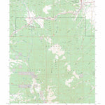 US Forest Service - Topo Ely, NV FSTopo Legacy digital map
