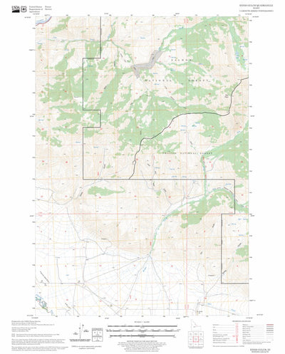 US Forest Service - Topo Ennis Gulch, ID FSTopo Legacy digital map