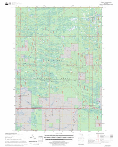 US Forest Service - Topo Ensign, MI FSTopo Legacy digital map