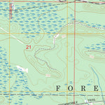 US Forest Service - Topo Ensign, MI FSTopo Legacy digital map