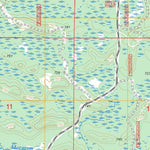 US Forest Service - Topo Ensign, MI FSTopo Legacy digital map