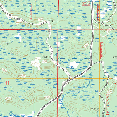 US Forest Service - Topo Ensign, MI FSTopo Legacy digital map