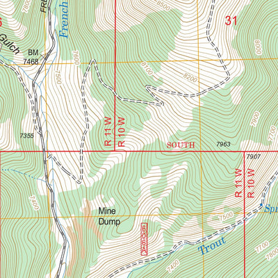 US Forest Service - Topo Ermont, MT FSTopo Legacy digital map