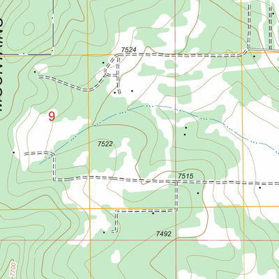 US Forest Service - Topo Escabosa, NM FSTopo Legacy digital map