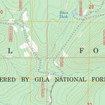 US Forest Service - Topo Escondido Mountain, NM FSTopo Legacy digital map