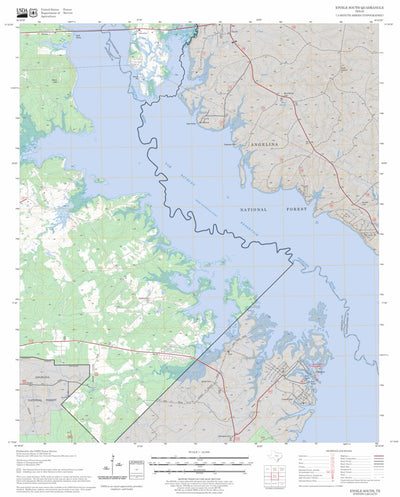US Forest Service - Topo Etoile South, TX FSTopo Legacy digital map