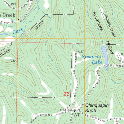 US Forest Service - Topo Eula, AR FSTopo Legacy digital map