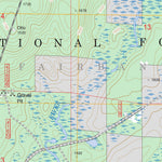 US Forest Service - Topo Fairbanks, MN FSTopo Legacy digital map