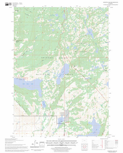 US Forest Service - Topo Fayette Lake, WY FSTopo Legacy digital map