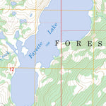 US Forest Service - Topo Fayette Lake, WY FSTopo Legacy digital map