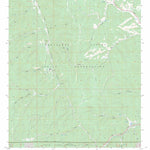 US Forest Service - Topo Firman Canyon, NM FSTopo Legacy digital map