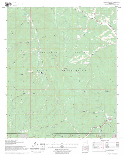 US Forest Service - Topo Firman Canyon, NM FSTopo Legacy digital map