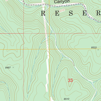 US Forest Service - Topo Firman Canyon, NM FSTopo Legacy digital map