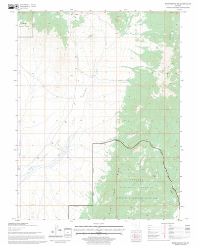 US Forest Service - Topo Fish Springs NE, NV FSTopo Legacy digital map