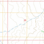US Forest Service - Topo Fish Springs NE, NV FSTopo Legacy digital map