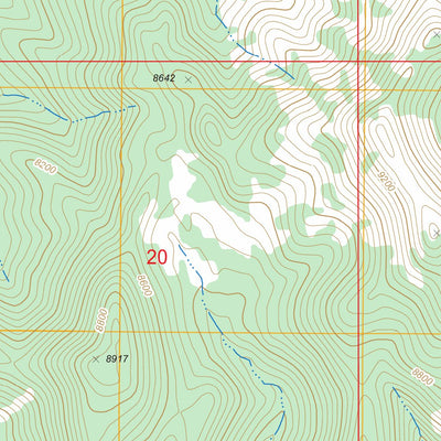 US Forest Service - Topo Fish Springs NE, NV FSTopo Legacy digital map