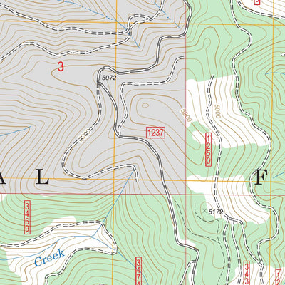 US Forest Service - Topo Fishhook Creek, ID FSTopo Legacy digital map