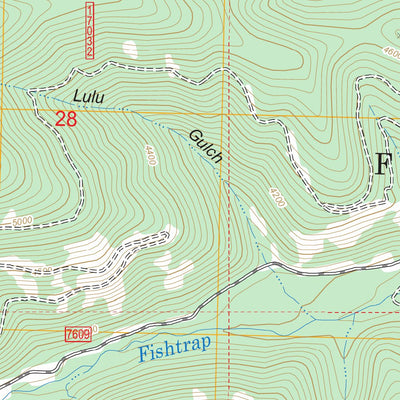 US Forest Service - Topo Fishtrap Lake, MT FSTopo Legacy digital map