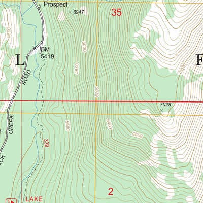 US Forest Service - Topo Fitsum Summit, ID FSTopo Legacy digital map