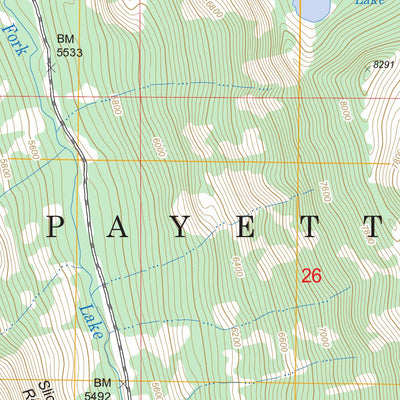 US Forest Service - Topo Fitsum Summit, ID FSTopo Legacy digital map