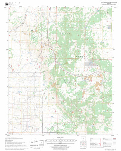 US Forest Service - Topo Fitzgerald Hill, AZ FSTopo Legacy digital map