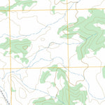 US Forest Service - Topo Five Lakes Canyon NE, NM FSTopo Legacy digital map