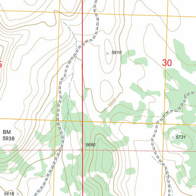US Forest Service - Topo Fivemile Gulch, NV - ID FSTopo Legacy digital map