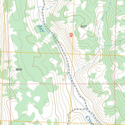 US Forest Service - Topo Fivemile Gulch, NV - ID FSTopo Legacy digital map