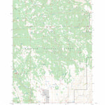 US Forest Service - Topo Flag Prairie, OR FSTopo Legacy digital map