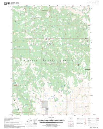 US Forest Service - Topo Flag Prairie, OR FSTopo Legacy digital map